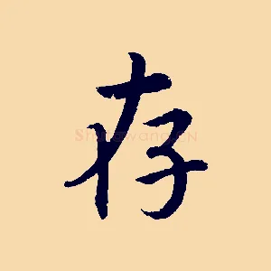 存