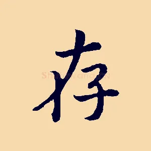 存