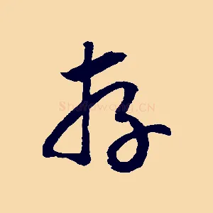 存