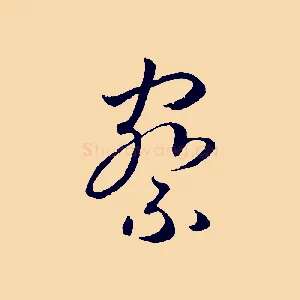 察