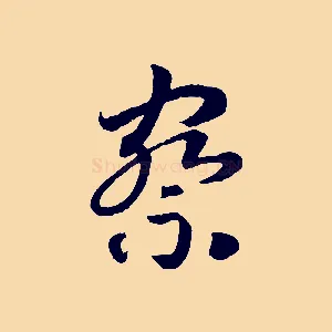 察