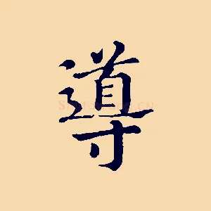 導