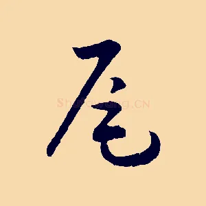 尾