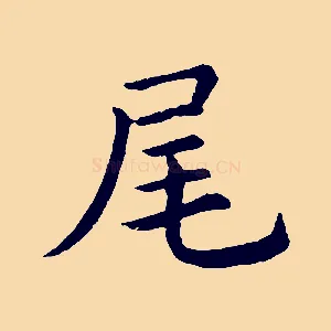 尾