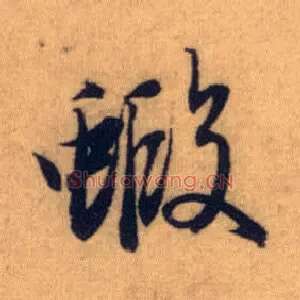 虾