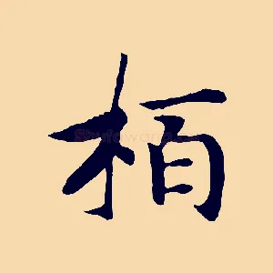 柏