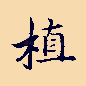 植
