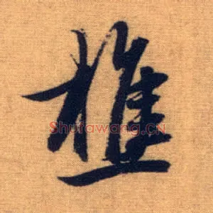 樵