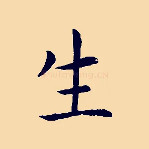 生