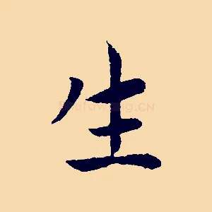 生