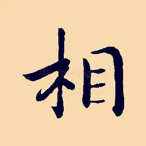 相