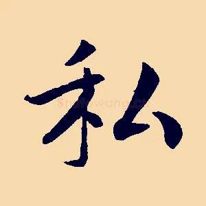 私