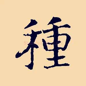 種