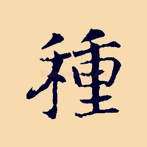 種