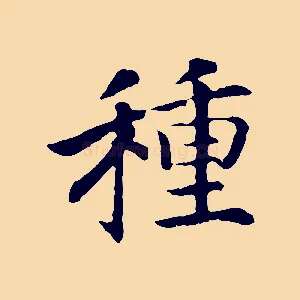 種