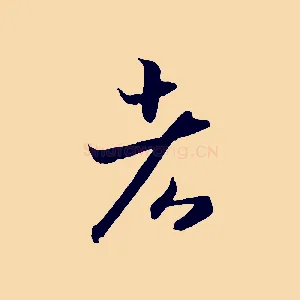 者