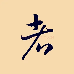 者