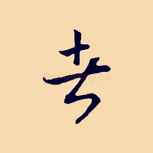 者