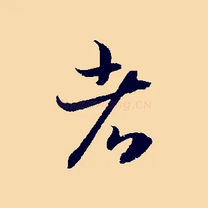 者