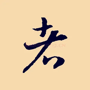 者