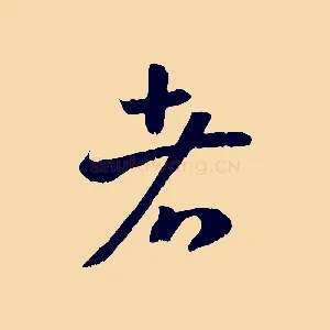 者