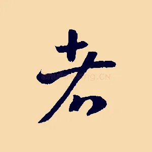 者