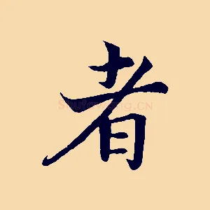 者