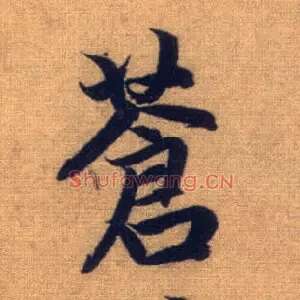 苍