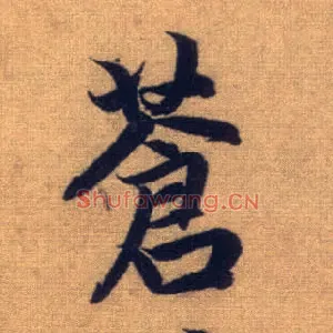 苍