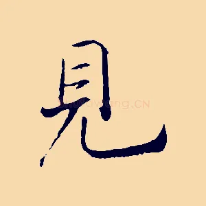 見