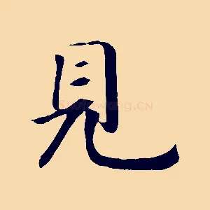 見