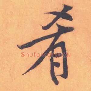 肴