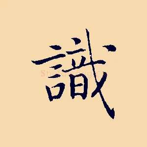 識