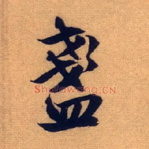 盏