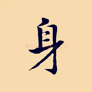 身