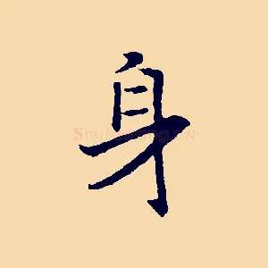 身