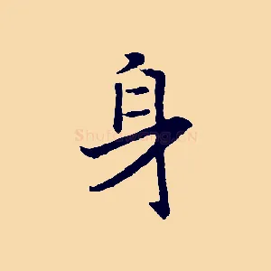 身