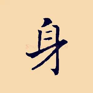 身