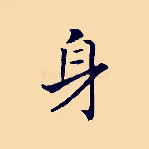 身