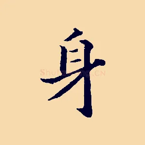 身