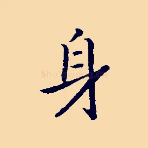 身