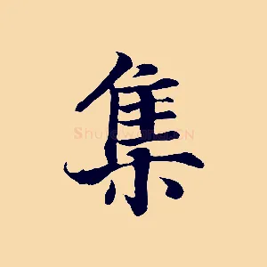 集