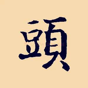 頭