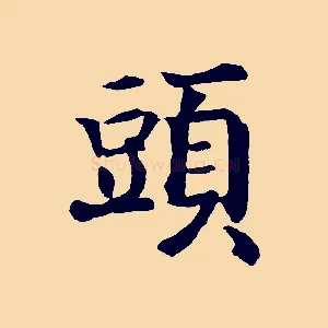 頭
