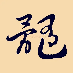 髓