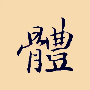 體