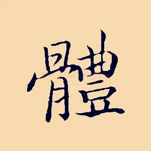 體