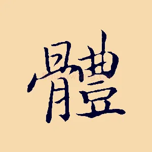體