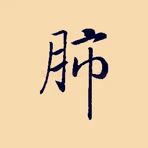 肺