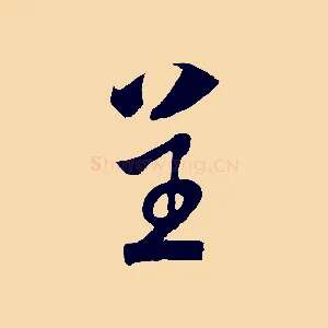 呈